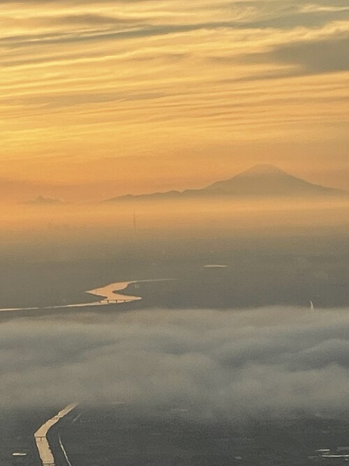 Narita Express — photo 4