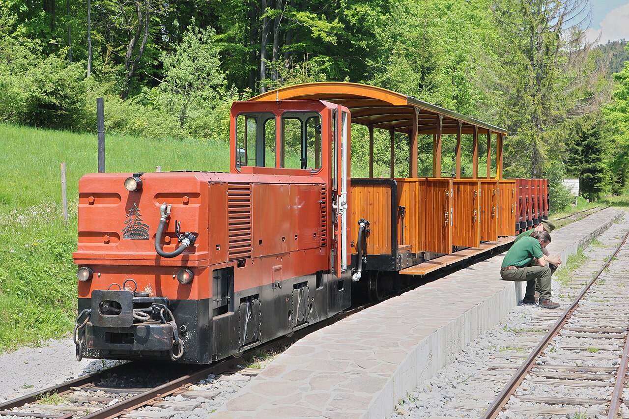 Waldbahn Vychylovka – von Tanečník nach Sedlo Beskyd