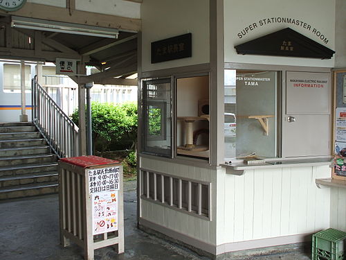 Tama Densha — 写真2