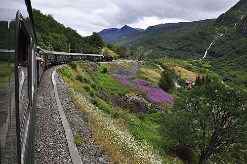 Flåmsbana – von Myrdal nach Flåm