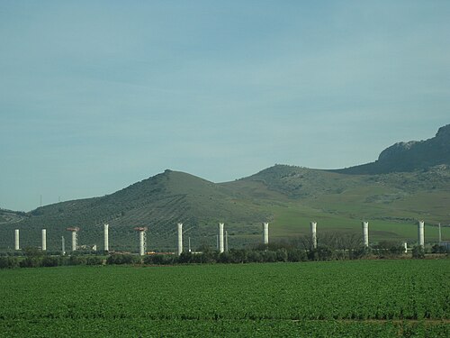 AVE – Foto 4