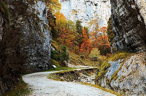 Brașov–Zărnești railway — 写真4