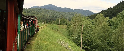 Bieszczady Forest Railway — 写真1