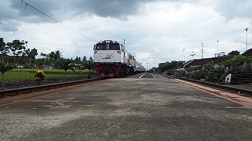 Mutiara Timur – Foto 4