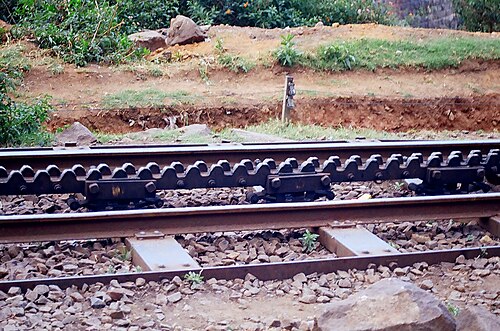 Nilgiri Mountain Railway – Foto 2