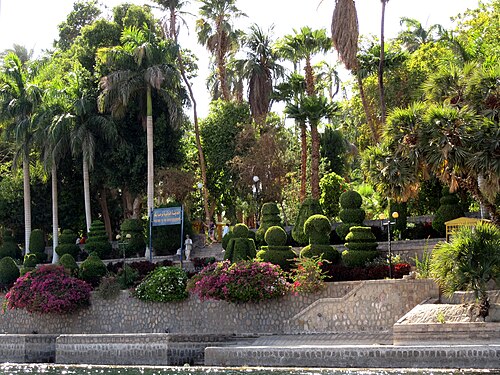 Nile Valley Sleeper — 写真2