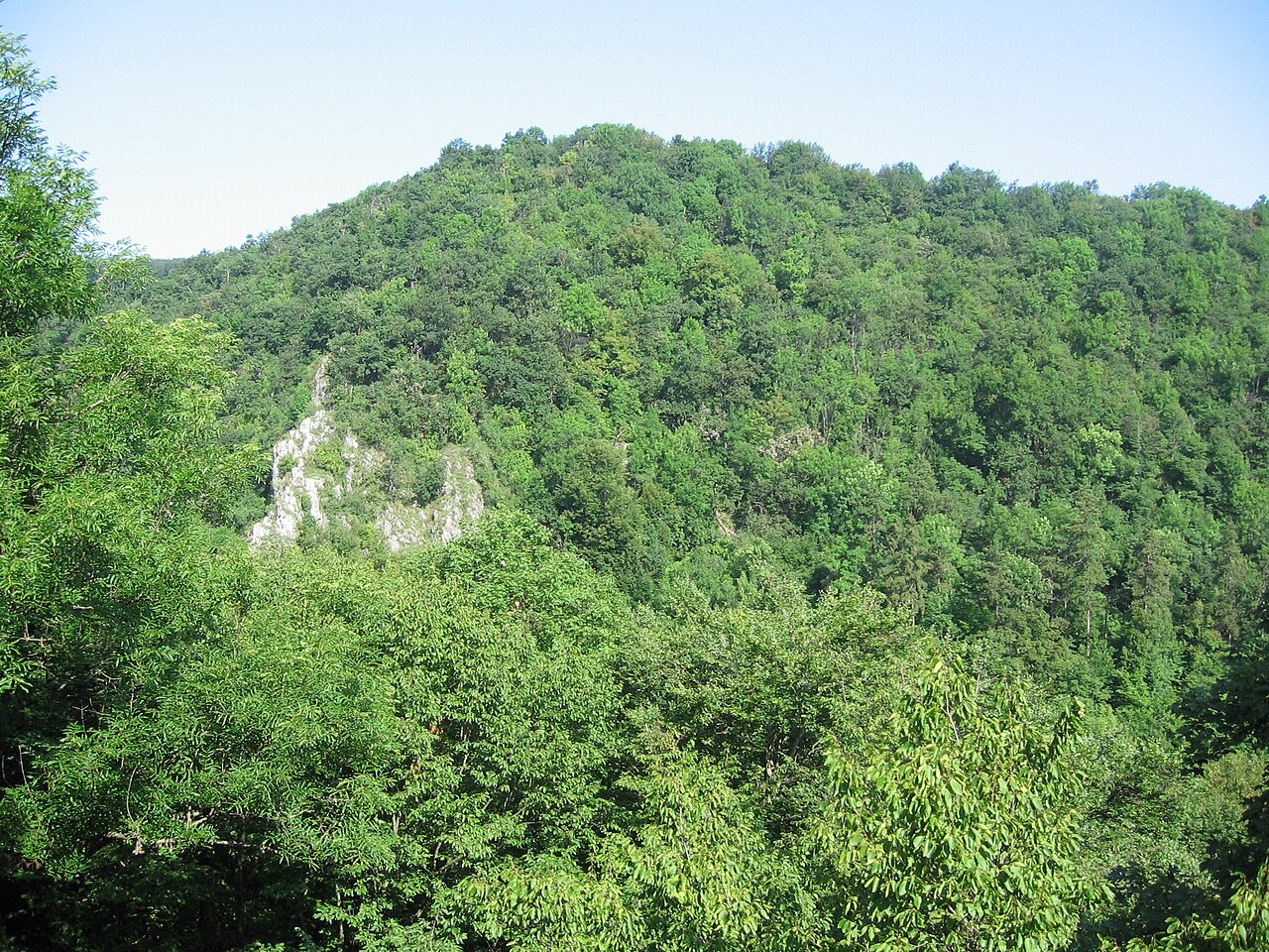Lillafüred Forest Railway — Miskolc to Garadna