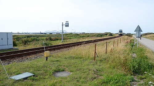 Thy Line — photo 2