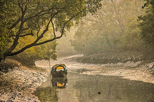 Sundarban Express — 写真1