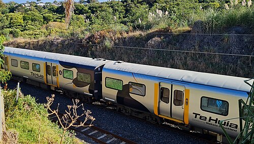 Te Huia – Foto 2