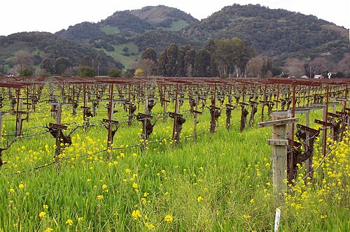 Bahnstrecke Napa Junction–Calistoga – Foto 4