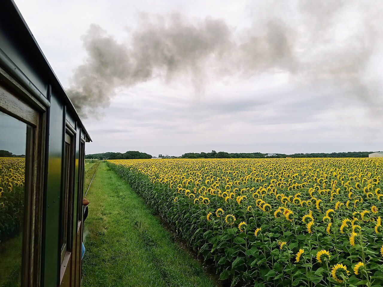 Train des Mouettes – von Saujon nach La Tremblade