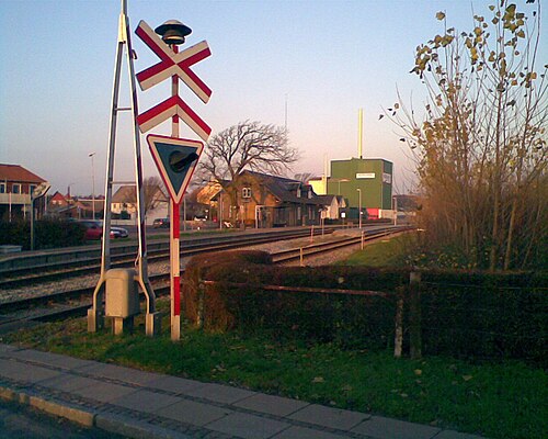 Thy Line — photo 4