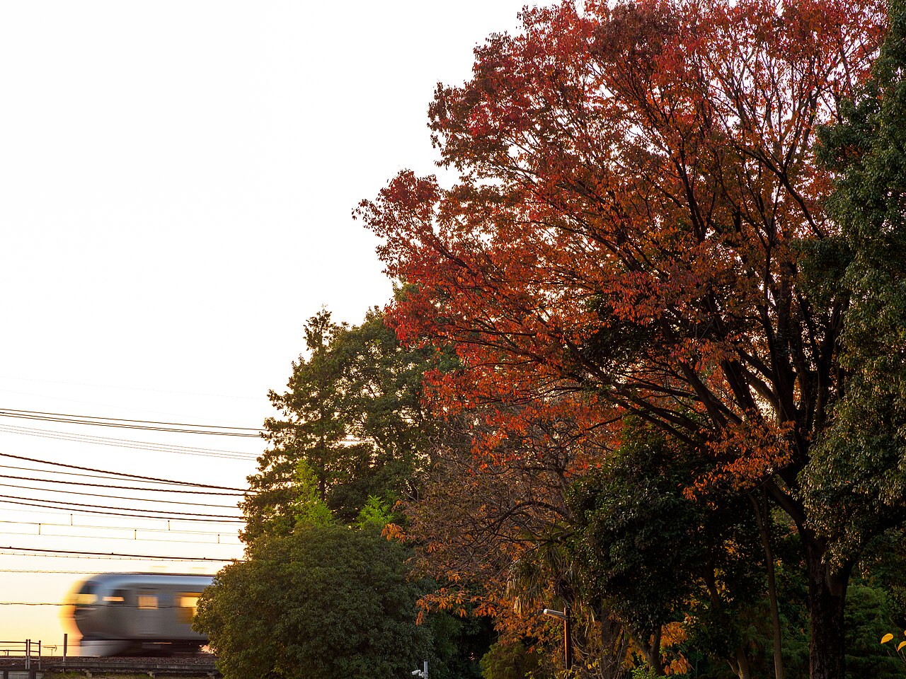 Laview — Tokyo (Ikebukuro) to Chichibu
