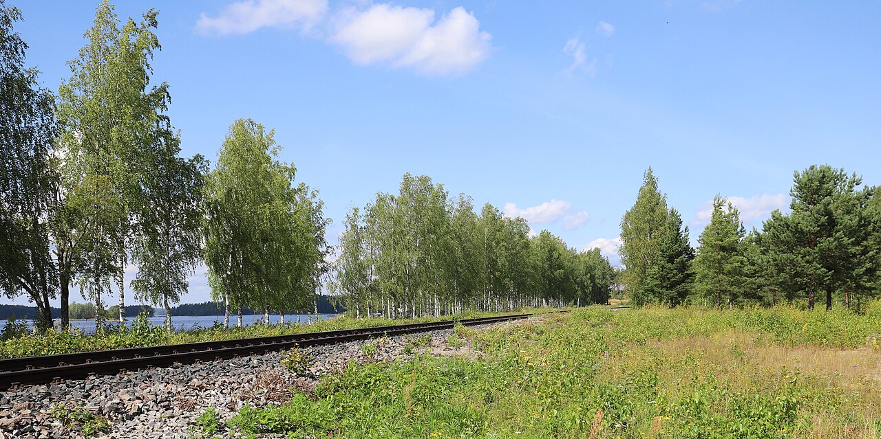 Parikkala–Savonlinna railway – von Parikkala nach Savonlinna