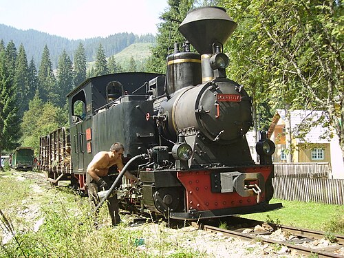 Mocănița Vaser Valley — 写真1