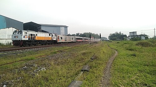 Argo Wilis — photo 3