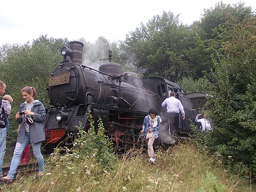 Mocănița Sovata — photo 1