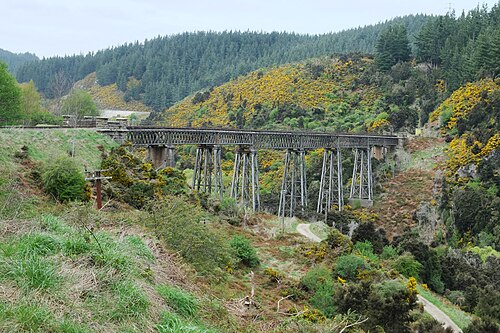 Taieri Gorge Railway — 写真1