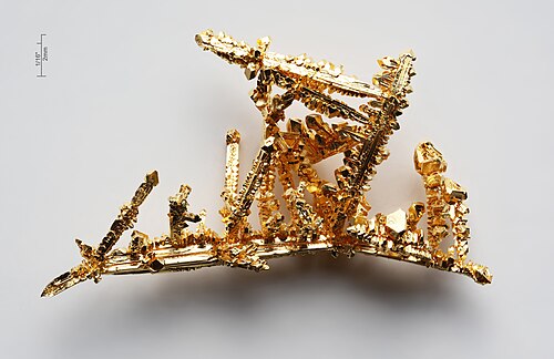 G-train (West Gold) — 写真1