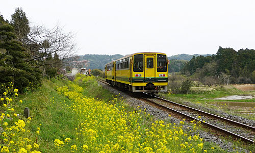 いすみ鉄道いすみ線 — 写真1