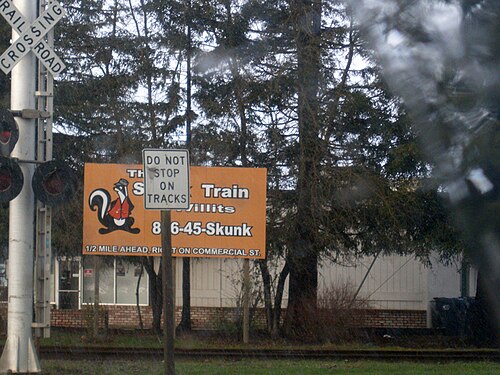 Skunk Train – Foto 3